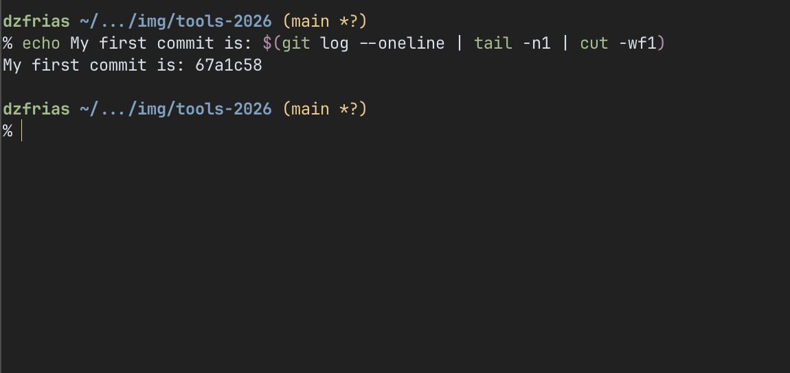 my zsh prompt